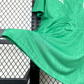 Camisa Palmeiras Treino 2025/26 Torcedor
