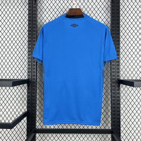 Camisa Santos Goleiro II 2025/26 Torcedor