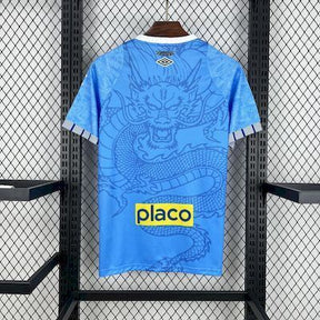 Camisa Santos Edição Especial 2025/26 Torcedor