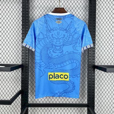 Camisa Santos Edição Especial 2025/26 Torcedor